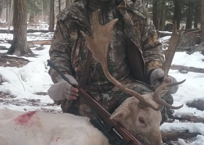 European Fallow Deer Hunts