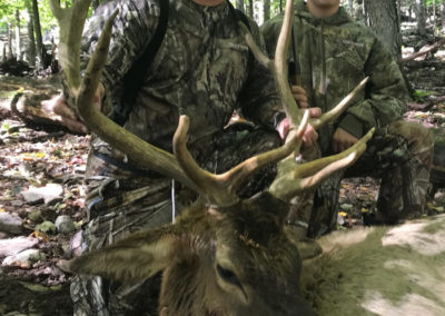 Elk Hunts