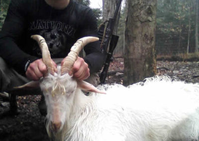 Spanish Goat Hunts