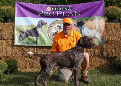 German Shorthaired Pointer - Boone